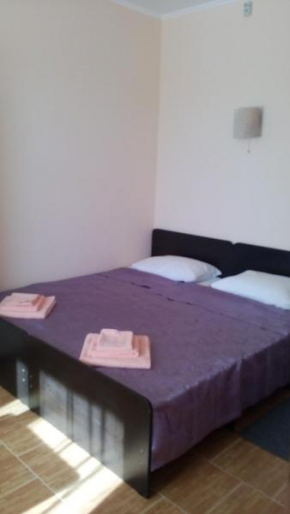 Guest House on Zelenaya 28